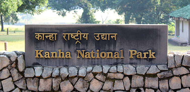 KANHA NATIONAL PARK -