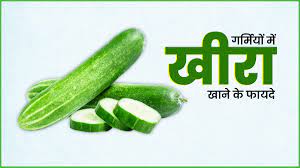 HEALTH TIPS (शरीर को रखे गर्मी में भी निरोगी)-